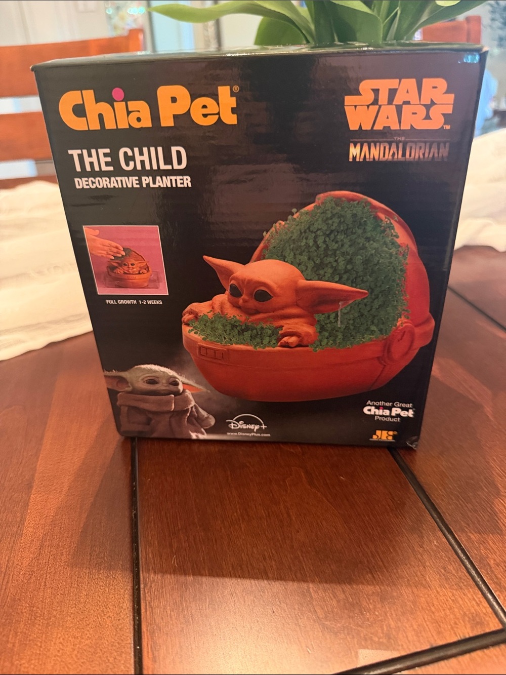 ❤️3 for $15!❤️ Disney Star Wars The Child Chia Pet Planter - Orange and Green